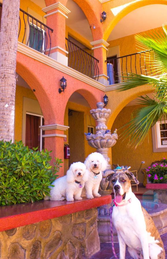 Hotel Angra Loreto  Kültér fotó